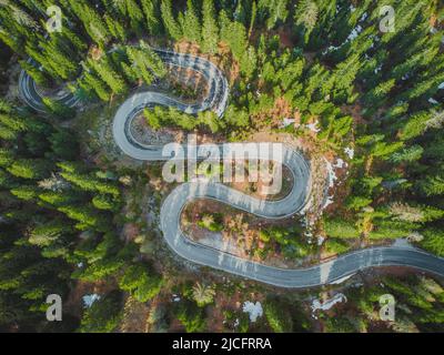 Italia, Veneto, Dolomiti, vista aerea su strada tortuosa nella foresta primaverile Foto Stock