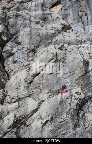 Scalatore in una parete rocciosa nel Parco Nazionale di Paklenica nel massiccio di Velebit, città valle Starigrad-Paklenica, contea di Zara, Dalmazia, Croazia, Europa Foto Stock