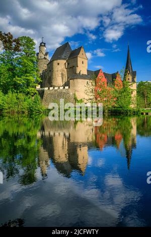 Castello di Stein a Hartenstein: Il Castello di Stein, noto anche come Castello di Stein, si trova a sud-est di Zwickau nel distretto di Hartenstein di Stein sulle rive rocciose dello Zwickauer Mulde. Foto Stock
