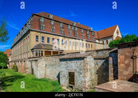 Wechselburg con monastero e castello Foto Stock