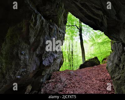 Europa, Germania, Assia, Assia Centrale, Westerwald, Hessian Westerwald, regione di Lahn-Dill, Geopark Westerwald-Lahn-Taunus, vista dalla grotta carsica "Große Steinkammer" vicino a Breitscheid sul sentiero Westerwaldsteig Foto Stock