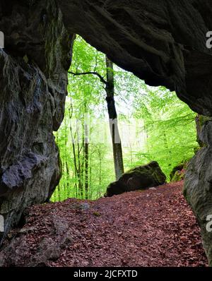 Europa, Germania, Assia, Assia Centrale, Westerwald, Hessian Westerwald, regione di Lahn-Dill, Geopark Westerwald-Lahn-Taunus, vista dalla grotta carsica "Große Steinkammer" vicino a Breitscheid sul sentiero Westerwaldsteig Foto Stock