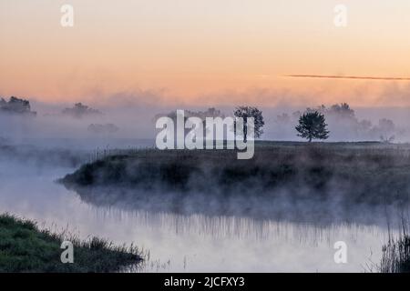 Il pittoresco paesaggio della regione dell'Elba all'alba e la nebbia di terra prima di Bleckede Foto Stock