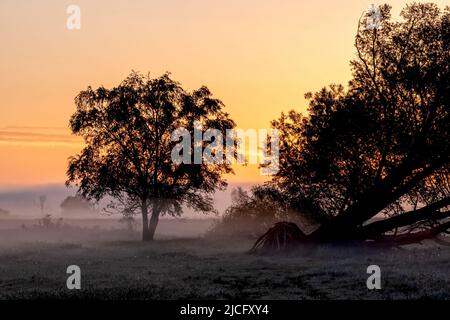 Il pittoresco paesaggio della regione dell'Elba all'alba e la nebbia di terra prima di Bleckede Foto Stock