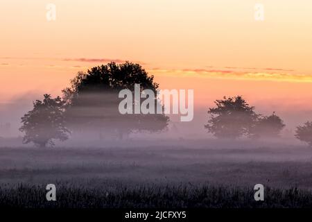 Il pittoresco paesaggio della regione dell'Elba all'alba e la nebbia di terra prima di Bleckede Foto Stock