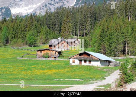 Angeralm, accanto al percorso ciclistico e escursionistico nella valle del Karwendel, Austria, Tirolo, Karwendel, casette di caccia sullo sfondo, Foto Stock