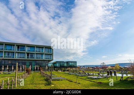 Langenlois, Loisium Hotel und Spa nella regione di Waldviertel, bassa Austria, Austria Foto Stock