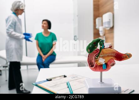 Consulenza gastroenterologica. Modello anatomico del pancreas sul tavolo del medico sopra il fondo gastroenterologist che consulta il paziente della donna con la gastroint Foto Stock