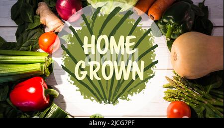 Immagine di testo cresciuto in casa sul verde, su cerchio di verdure fresche su tavole bianche Foto Stock