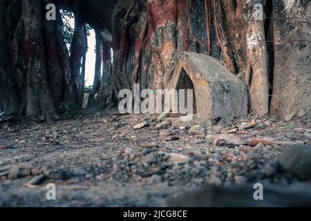 Un piccolo punto di preghiera triangolare di divinità indù sotto un albero banyan. Dehradun Uttarakhand India. Questi piccoli monumenti triangolari sono molto comuni a Hind Foto Stock