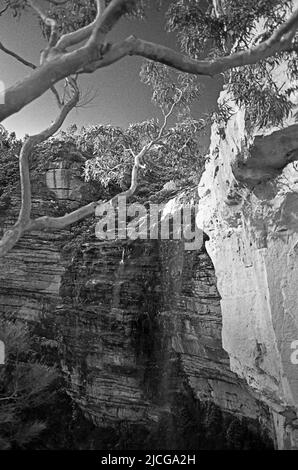 La cascata principale di Wentforth Falls, Blue Mountains, NSW, Australia: Un lungo calo. Fotografia su pellicola in bianco e nero Foto Stock