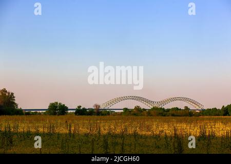 Il ponte Hernando de Soto a West Memphis, Arkansas, attraversa il fiume Mississippi fino a Memphis, Tennessee. Con e campo aperto di fiori gialli, blu Foto Stock