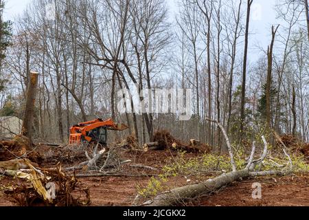 Escavatore sradicamento di alberi su terra in bulldozer bonifica terra da alberi, radici e rami Foto Stock