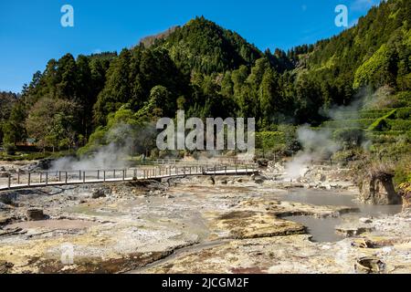 Caldera del Lago Furnas - ' Lagoa das Furnas '. Il vapore fuoriesce dalle sorgenti termali di Furnas sull'isola di São Miguel, nelle Azzorre, in Portogallo. Foto Stock