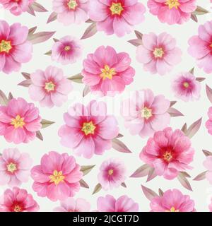 Motivo con delicati fiori rosa primorose, vettore, acquerello illustrazione Illustrazione Vettoriale