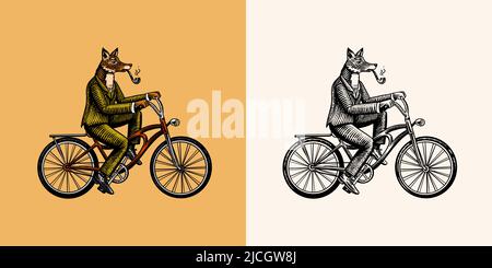 Una volpe con un tubo in un vestito corre una bicicletta e pedali. Moda animale carattere. Disegno a mano del contorno del legno. Illustrazione con incisione vettoriale per Illustrazione Vettoriale