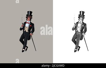 Scimmia alla moda in abiti. Uomo antico che fuma un sigaro. Victorian Antica retrò Abbigliamento. Un uomo in abito. Stile incisione vintage. Mano Illustrazione Vettoriale