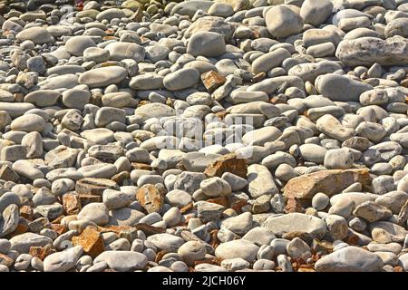 Smoothי pietre in letto di fiume Foto Stock