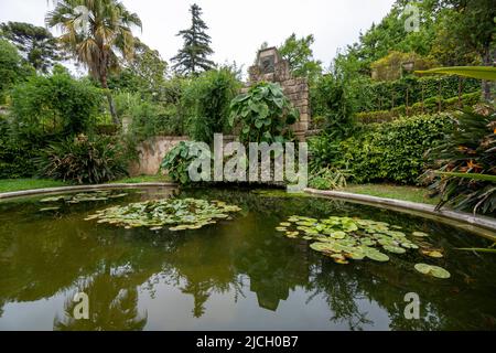 Laghetto d'acqua al Jardim Botânico - l'Orto Botanico dell'Università di Coimbra, a Coimbra, Portogallo, Europa Foto Stock