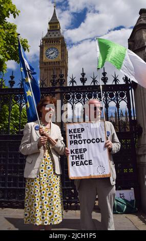 Londra, Regno Unito. 13th giugno 2022. I manifestanti che si oppongono alle modifiche al protocollo dell'Irlanda del Nord sono contrari alle bandiere irlandesi e dell'UE al di fuori del Parlamento. Il governo deve pubblicare un progetto di legge per riscrivere il protocollo. Credit: Vuk Valcic/Alamy Live News Foto Stock