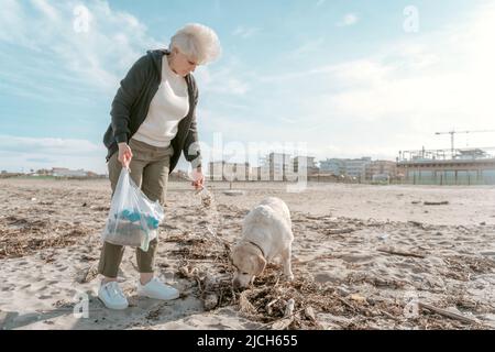 Umano e un cane che pulisce la spiaggia sporca Foto Stock