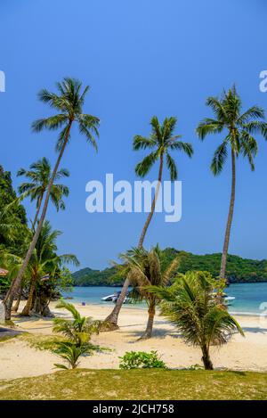 Koh Phaluai, Parco Nazionale di Mu Ko Ang Thong, Golfo della Thailandia, si Foto Stock