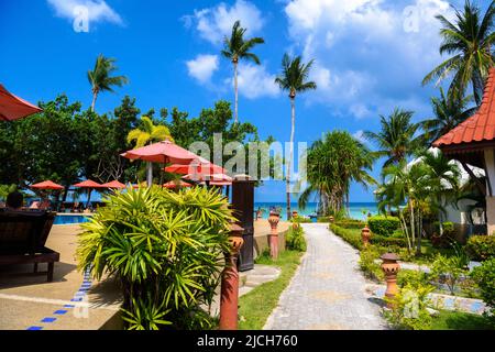 Bungalows e palme, Haad Yao spiaggia, Koh Phangan isola, Suratth Foto Stock