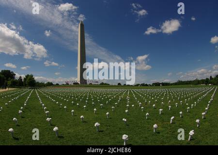 Il 6 giugno 2022, il gruppo Giffords ha installato 45.000 mazzi di fiori sul National Mall per commemorare le vite perse a causa della violenza delle armi negli Stati Uniti Foto Stock