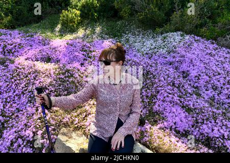 Il turista riposa vicino alla flora selvaggia Drosanthemum floribundum o pianta di ghiaccio o fiore di tasso che cresce selvaggio lungo il percorso costiero vicino Tamariu in Spagna Foto Stock