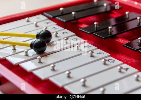 Xylophone portatile o sticcado con bastoncini a tamburo per le arti musicali educative con strumento classico per la creatività e musicisti per il ritmo della tastiera Foto Stock