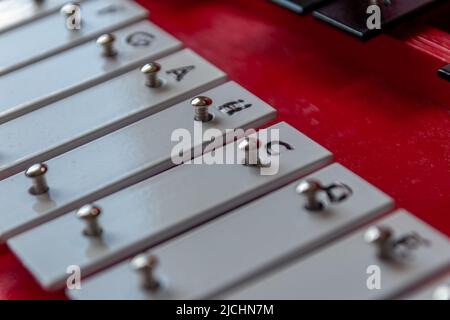 Xylophone portatile o sticcado con bastoncini a tamburo per le arti musicali educative con strumento classico per la creatività e musicisti per il ritmo della tastiera Foto Stock