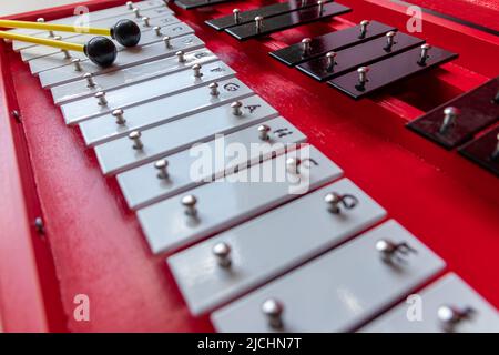 Xylophone portatile o sticcado con bastoncini a tamburo per le arti musicali educative con strumento classico per la creatività e musicisti per il ritmo della tastiera Foto Stock