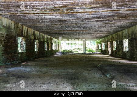 Rovine di un edificio nella Lair del Wolf. Ex quartier generale di guerra di Adolf Hitler in Polonia Foto Stock