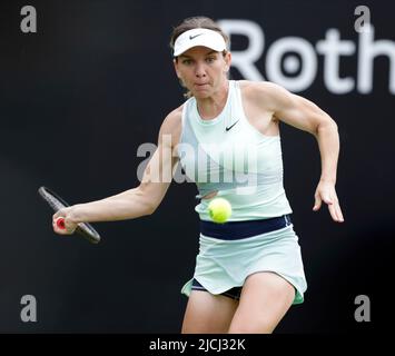 13th giugno 2022; Edgbaston Priory Club, Edgbaston, Birmingham, Regno Unito; Torneo di tennis di prato classico di Birmingham; Simona Halep ROU guarda la palla contro Lesia Tsurenko UKR Foto Stock