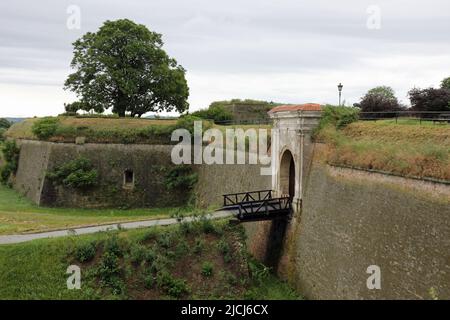 Fortezza di Petrovaradin sulla riva destra del Danubio a Novi Sad Foto Stock