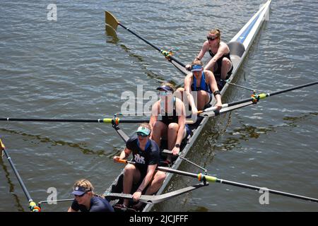 2022 University of Michigan Womens team a Big Ten gara di regata invitazionale Sarasota Florida nathan Benderson Park equipaggio 4 8 persone barche veloce Foto Stock