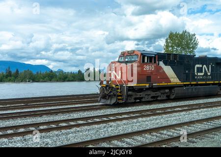 Canadian National Railway treno merci che viaggia in zona rurale. Foto Stock