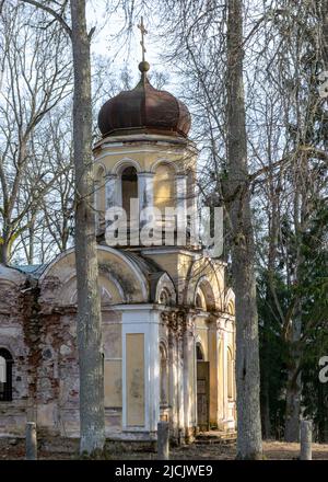 Galgauskas San Giovanni Battista Chiesa ortodossa tra alberi e arbusti sottobosco. Sopra le cime degli alberi si può vedere il campanile, Gulbene re Foto Stock