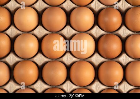 uova di pollo fresche in cartone Foto Stock