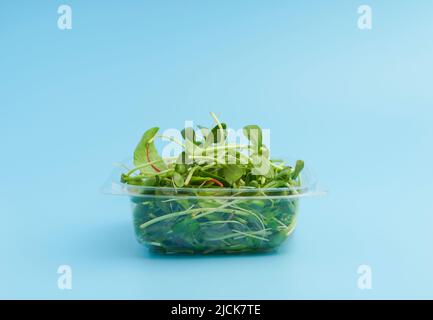 Girasole spara e germogli in una scatola di plastica su uno sfondo isolato vuoto. Insalata verde Microgreen per mangiare. Cibi crudi sani, dieta, concetto vegano. Foto di alta qualità Foto Stock