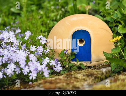 Carino casa in ceramica con attraente porta blu per nidificare le api bumble su un giardino di primavera intorno tappeto fiori phlox. Foto Stock