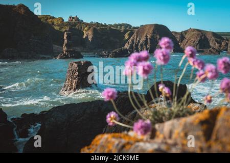 Il mare si fa prosperare sulle rocce di fronte alle cataste di mare a Muchalls Beach nell'Aberdeenshire in Scozia Foto Stock