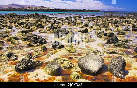 El Cotillo, Fuerteventura nord: Molte pietre in acqua sparse in sabbia a spiaggia rocciosa durante il riflusso, mare turchese sfondo laguna Foto Stock