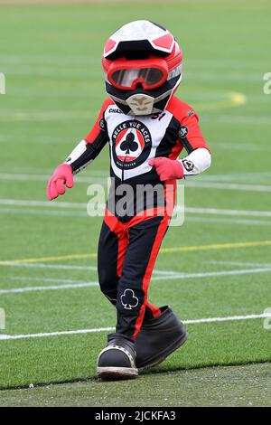 MANCHESTER, REGNO UNITO. GIUGNO 13th Chase the Ace durante la partita della SGB Premiership tra Belle Vue Aces e Wolverhampton Wolves al National Speedway Stadium di Manchester lunedì 13th giugno 2022. (Credit: Eddie Garvey | MI News) Credit: MI News & Sport /Alamy Live News Foto Stock