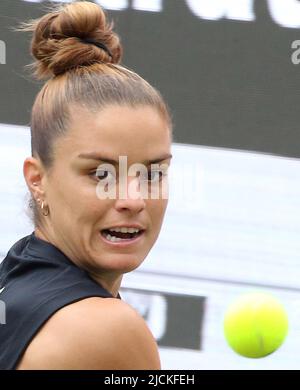 Berlino, Germania. 14th giugno 2022. Tennis: WTA Tour, Round di 16 singoli, donne, competizione, 1st round Jeanjean (Francia) - Sakkari (Grecia) allo stadio Steffi Graf. Maria Sakkari guarda la palla. Credit: Wolfgang Kumm/dpa/Alamy Live News Foto Stock