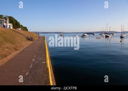 Regno Unito, Inghilterra, Devon, Tobay, Brixham, Percorso lungo il fiume vicino a Freshwater Cove con Tor Bay oltre Foto Stock