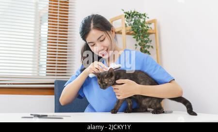 PET Salon Concept, veterinario femmina uso pettinatura spazzola capelli per spazzolare pelliccia di gatto nel salone. Foto Stock