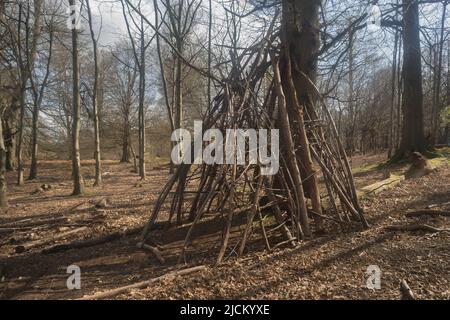 Abitazioni segrete ramoscono le case esposte in inverno come i loro contorni possono essere visti come le foglie sono tutte andate Foto Stock