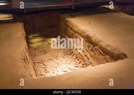 Elementi di terracotta, come figure di esseri umani, guerrieri, hardware militare, E bestiame, inclusi cavalli e animali da fattoria, in mostra in antichi pozzi scavati sotto terra nel tumulo sepolcrale nel mausoleo di Han Yang Ling (o il Mausoleo di Yang Ling di Han), il mausoleo dell'imperatore Jing, il sesto imperatore della dinastia occidentale Han e la sua imperatrice, Wang. XI'an. Cina. PRC. (125) Foto Stock