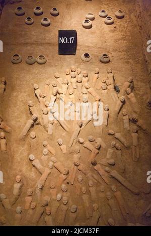 Elementi di terracotta, come figure di esseri umani, guerrieri, hardware militare, E bestiame, inclusi cavalli e animali da fattoria, in mostra in antichi pozzi scavati sotto terra nel tumulo sepolcrale nel mausoleo di Han Yang Ling (o il Mausoleo di Yang Ling di Han), il mausoleo dell'imperatore Jing, il sesto imperatore della dinastia occidentale Han e la sua imperatrice, Wang. XI'an. Cina. PRC. (125) Foto Stock